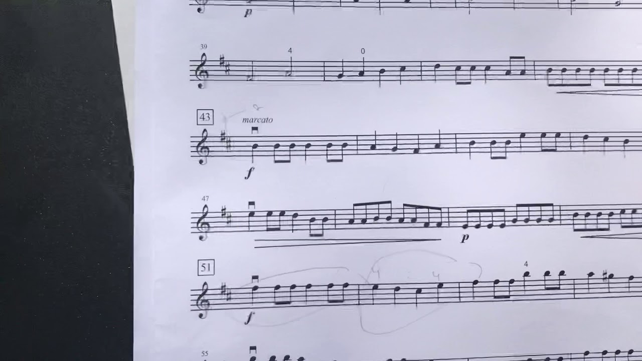 Guldfaxe 1st Violin String/Phil (4)