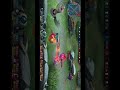#мобайллегендс #mobilelegends #mlbb #мобла #subscribe плаки плаки
