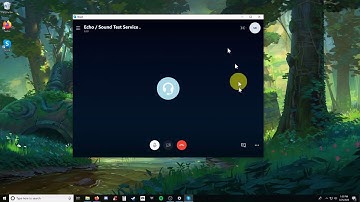 Skype Tutorial with Sam!