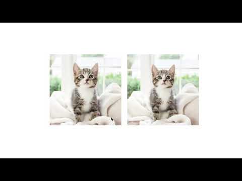2 ways: Image zoom on hover | Effects | HTML & CSS