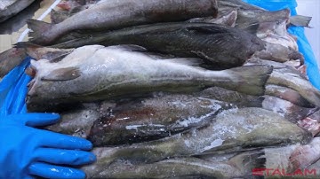 BMPE - Butcher and Meat Processing Equipment - Stalam RF Defrosting Technology