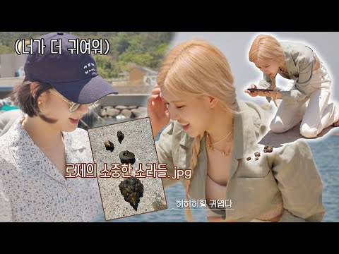 소라도 귀엽고, 채영이도 귀엽다❣️ 로제(ROSÉ)의 작고 소중한 소라들 바라던 바다 (sea of hope) 6회 | JTBC 210803 방송