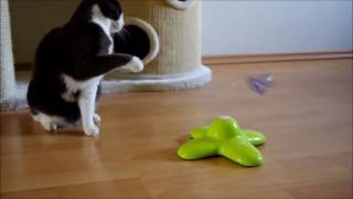Jouet Pour Chat Papillon Youtube