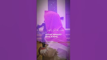 تلاوة جميله من القارئ محمد اللحيدان #النبرة_اللحيدانية #قرآن #محمد_اللحيدان #اكسبلور #لايك