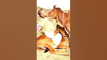 Thumbnail of Vrindavan pyaro Vrindavan ♥️ #bhajan #vishnupriyaaviji #viralvideo #shortsvideo