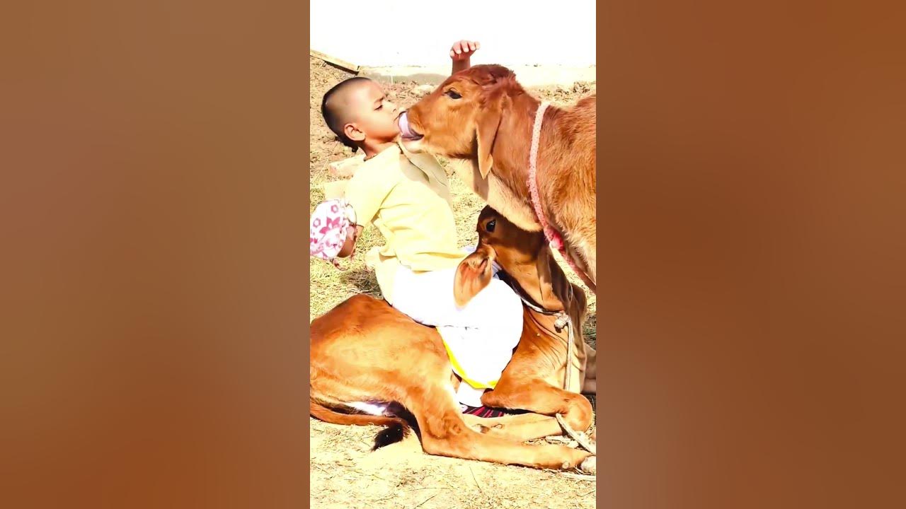 Vrindavan pyaro Vrindavan ♥️ #bhajan #vishnupriyaaviji #viralvideo #shortsvideo