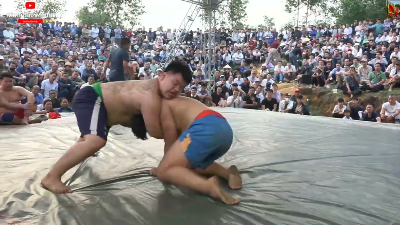 Live Vật Cổ Truyền Y Sơn Hợp Thịnh 2026