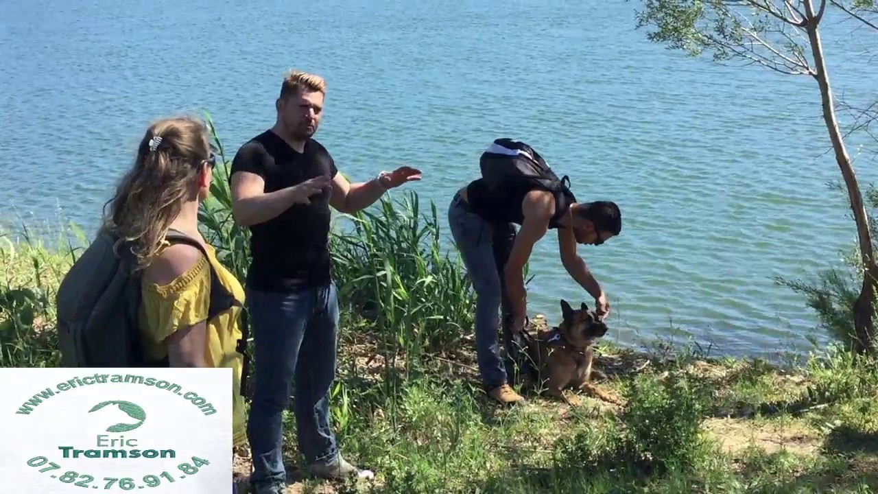 EDUCATEUR CANIN VAR/ERICTRAMSON/CHIEN/CHIOT/CHIENNE - YouTube