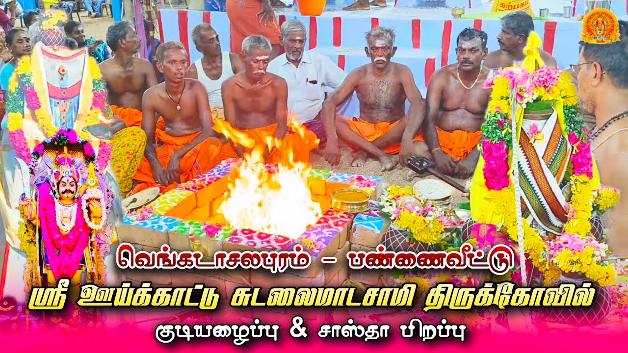 ஊய்க்காட்டு சுடலைமாடசாமி கோவில் கொடைவிழா | குடியழைப்பு சாஸ்தா பிறப்பு | Village festival