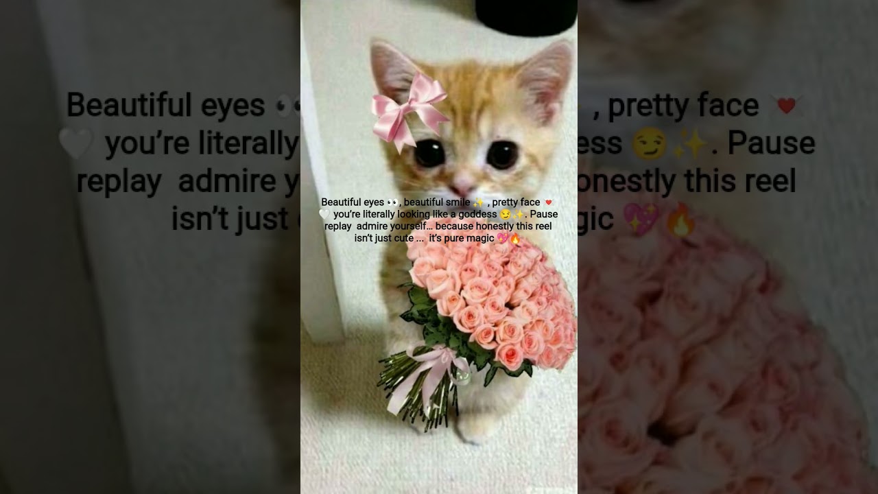 Who is this? Yep...  that’s YOU 😎💫 