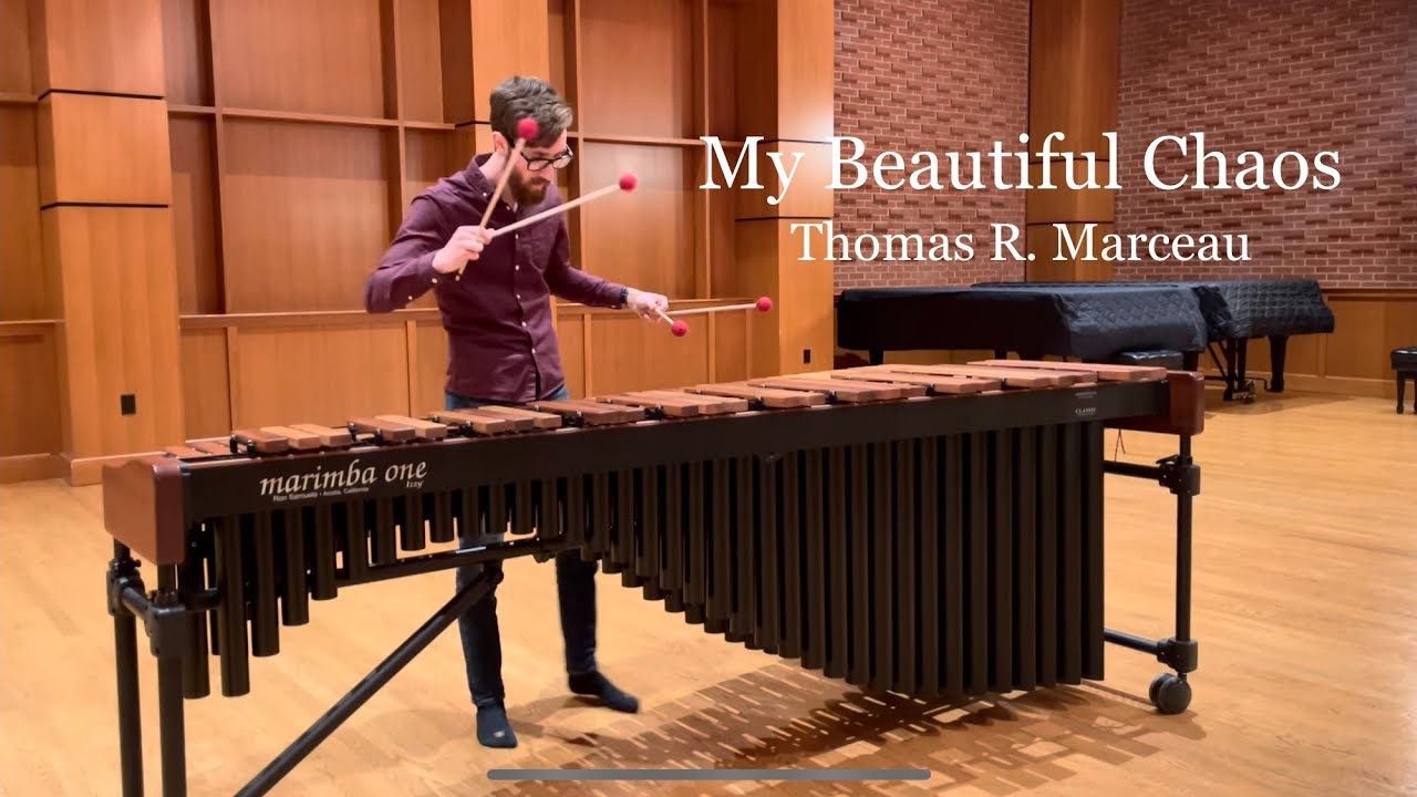 My Beautiful Chaos by Thomas R. Marceau