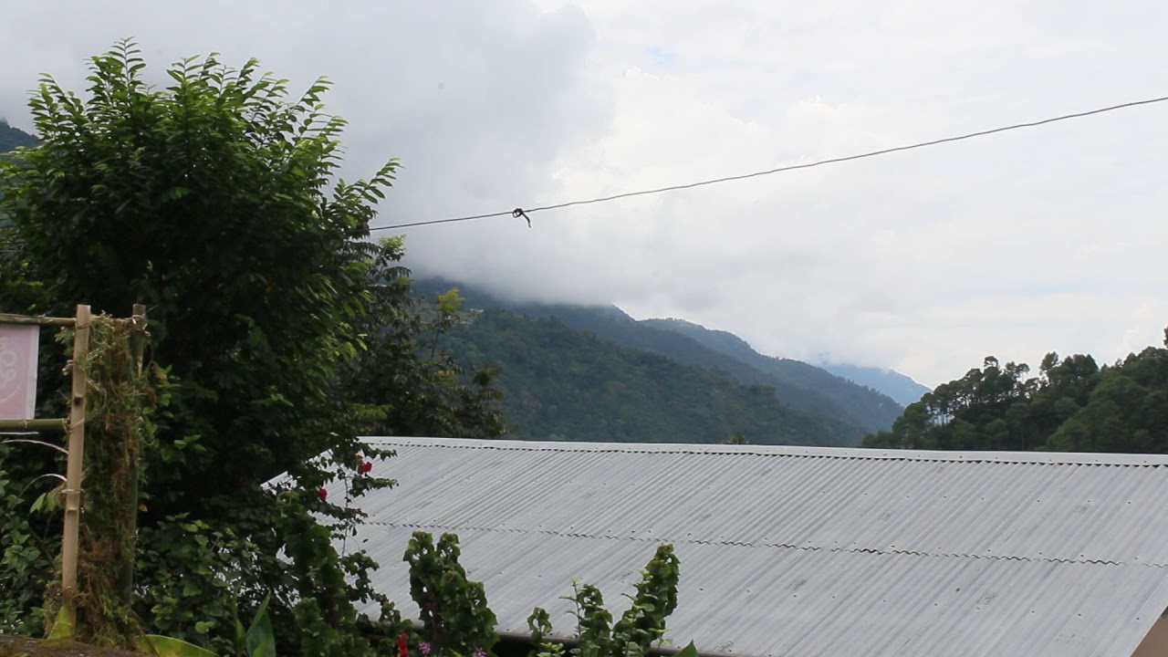 Suzonn - Rihaee with Nature