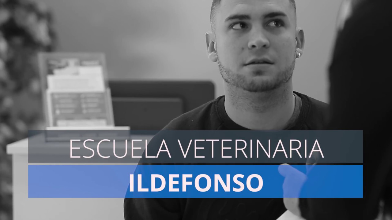Que Hay Que Estudiar Para Ser Cuidador Del Zoo