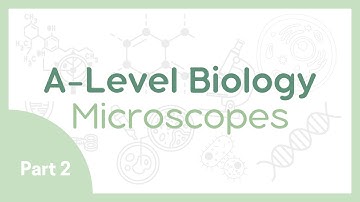 MICROSCOPES 2: Staining, Preparing Slides, Biological Drawings | A-Level Biology (AQA, OCR, Edexcel)