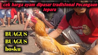 Cek harga ayam dipasar tradisional Pecangaan Jepara