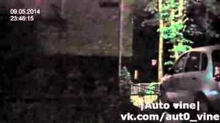 |Auto vine| #51