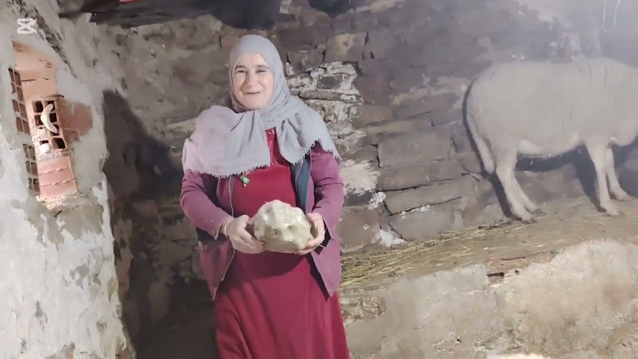 صباحكم برباحكم و 100 نعجة في مراحكم.. صباح مبارك مع نعجاتي 🐑🐑