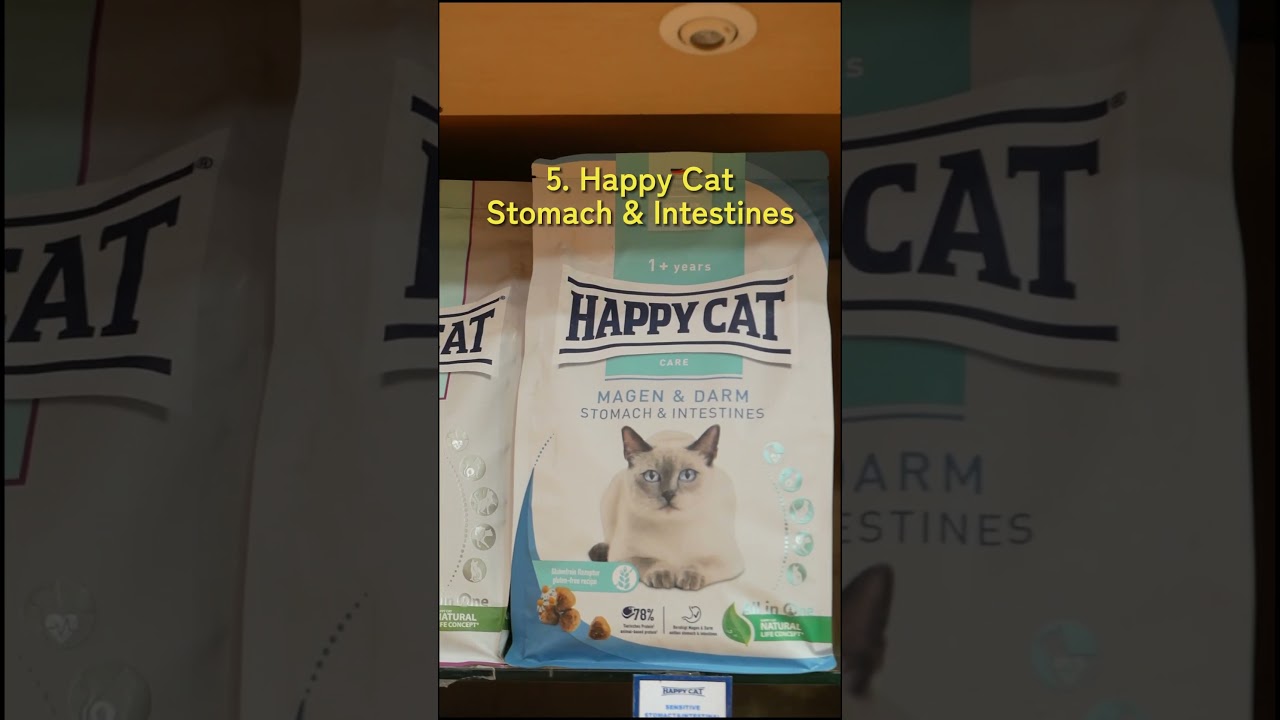 5 Dry Food Terbaik untuk Anabul
