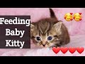 Feeding Baby Kitty