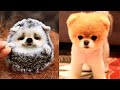 Cute baby animals Videos Compilation cute moment of the animals - Cutest Animals