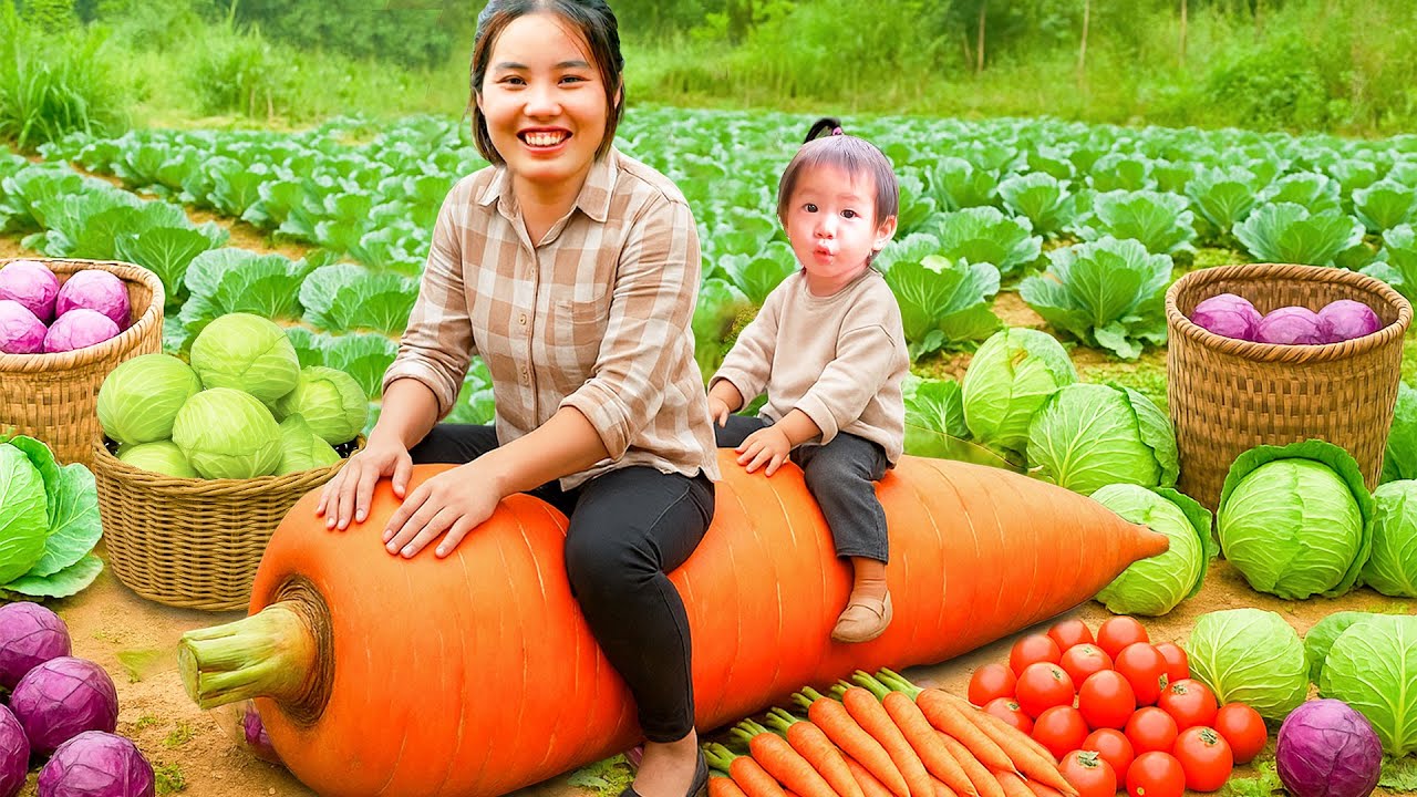 Harvest Giant Cabbage and Carrot Garden to Sell at Market - Cooking with Children