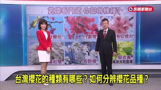 2025/2/19【早安嘉芬】台灣櫻花的種類有哪些？如何分辨櫻花品種？－民視新聞