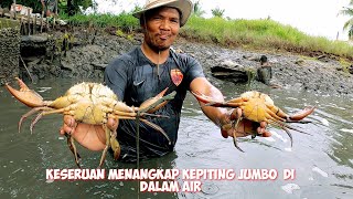 PANEN KEPITING BAKAU DI TAMBAK TRADISIONAL HASIL MELIMPAH