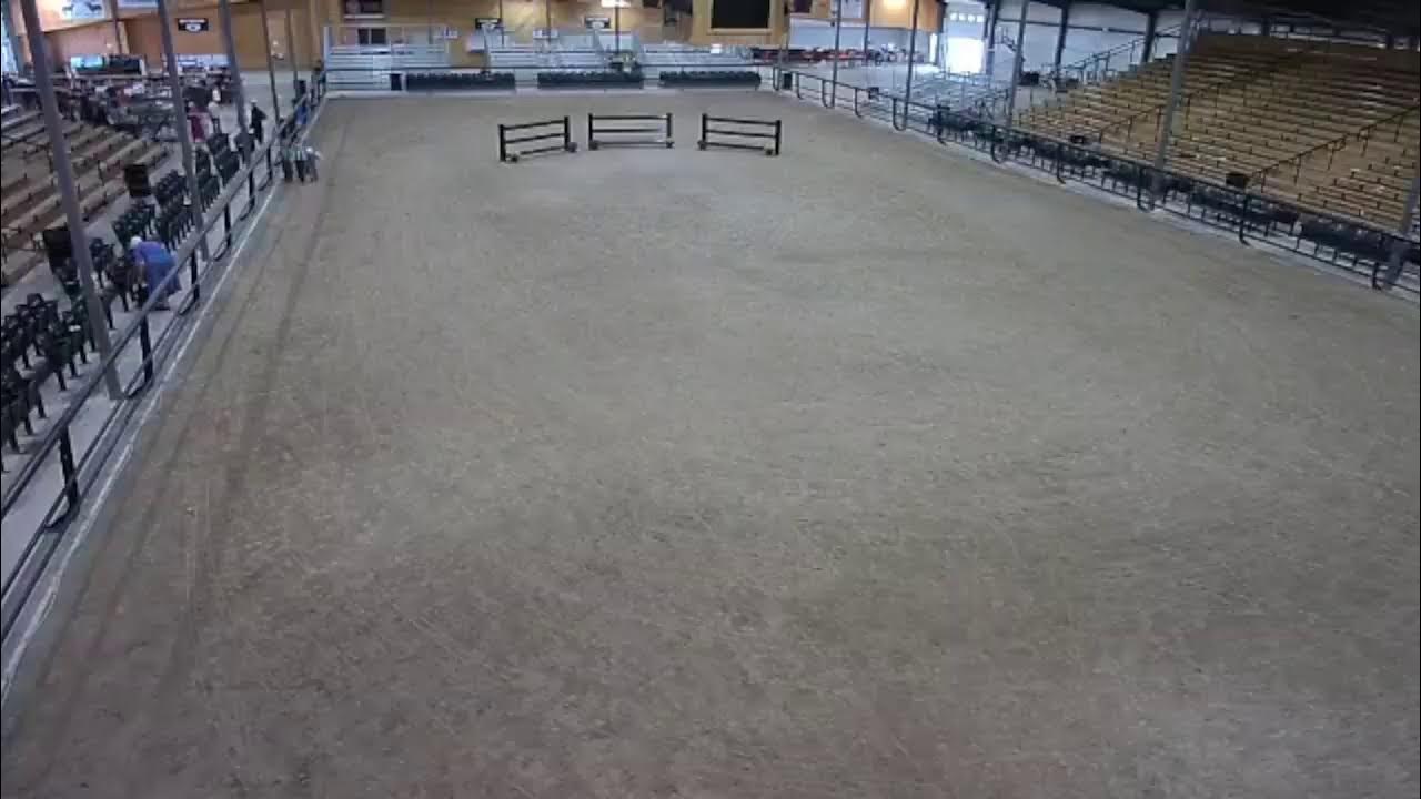 Topeka Livestock Auction Live Stream YouTube topeka-livestock-auction-live-stream-youtube