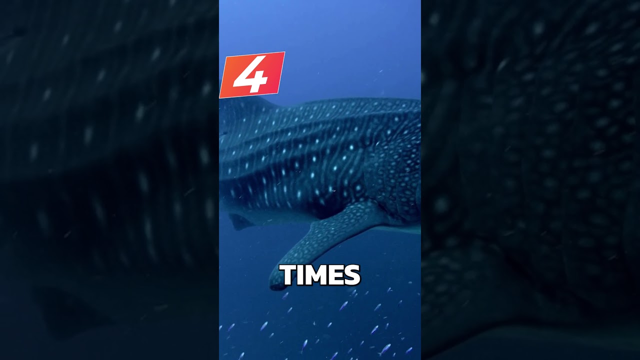 WEIRD BIOLOGY FACTS PART 2