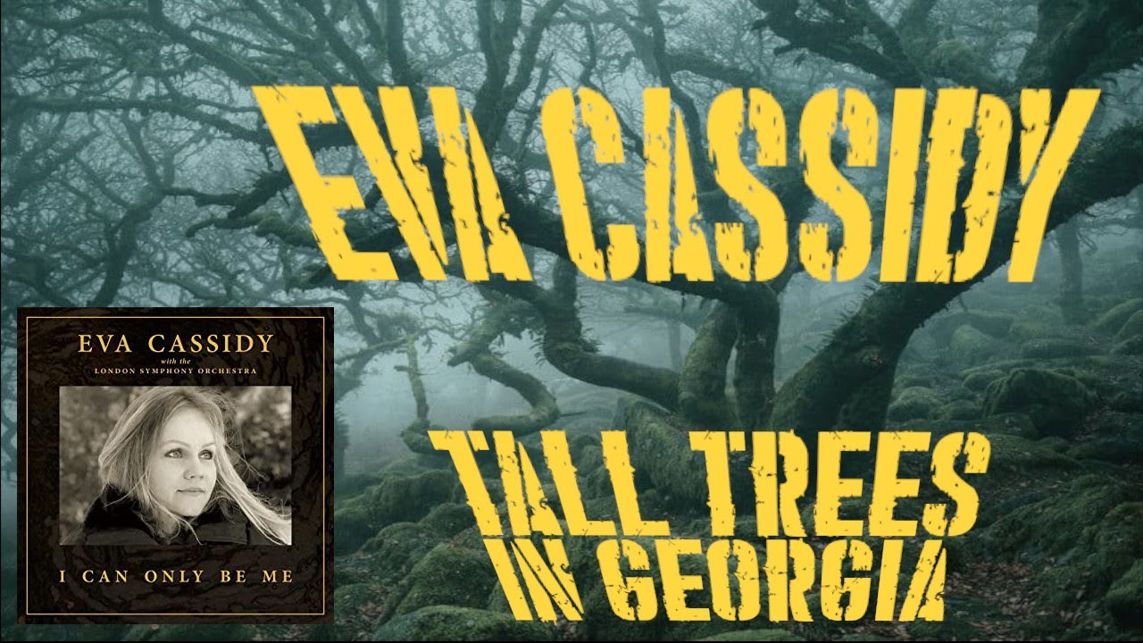 Eva Cassidy Tall Trees in evacassidy talltrees songbird 