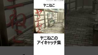 【ヤニねこ】ヤニねこのアイキャッチ集 ,#おすすめアニメ ,#2026夏アニメ ,#ヤニねこ ,#アニメ ,#アイキャッチ ,