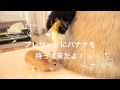 （続）モキュ様の親友、パン田一郎くんが突然遊びに来た。