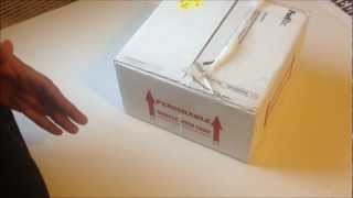 XTREME PYTHONS - UNBOXING SNAKES FROM BHB REPTILES.mp4