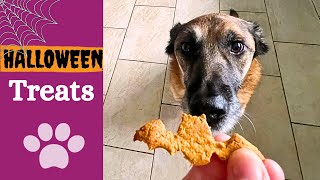 Halloween dog treats recipe - super quick and easy by Finn Paddy Dog Training 54 views 6 months ago 2 minutes, 1 second