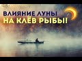 Влияние луны на клёв рыбы! Как влияет луна на рыбу в водоёме?