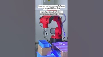 Robot vision recognition picks up parts #borunte #robot #machine