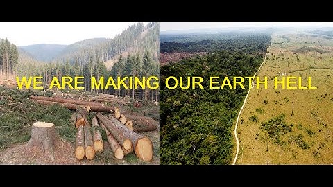 What happen If we keep DESTROYING Our Forest | STOP DEFORESTATION!