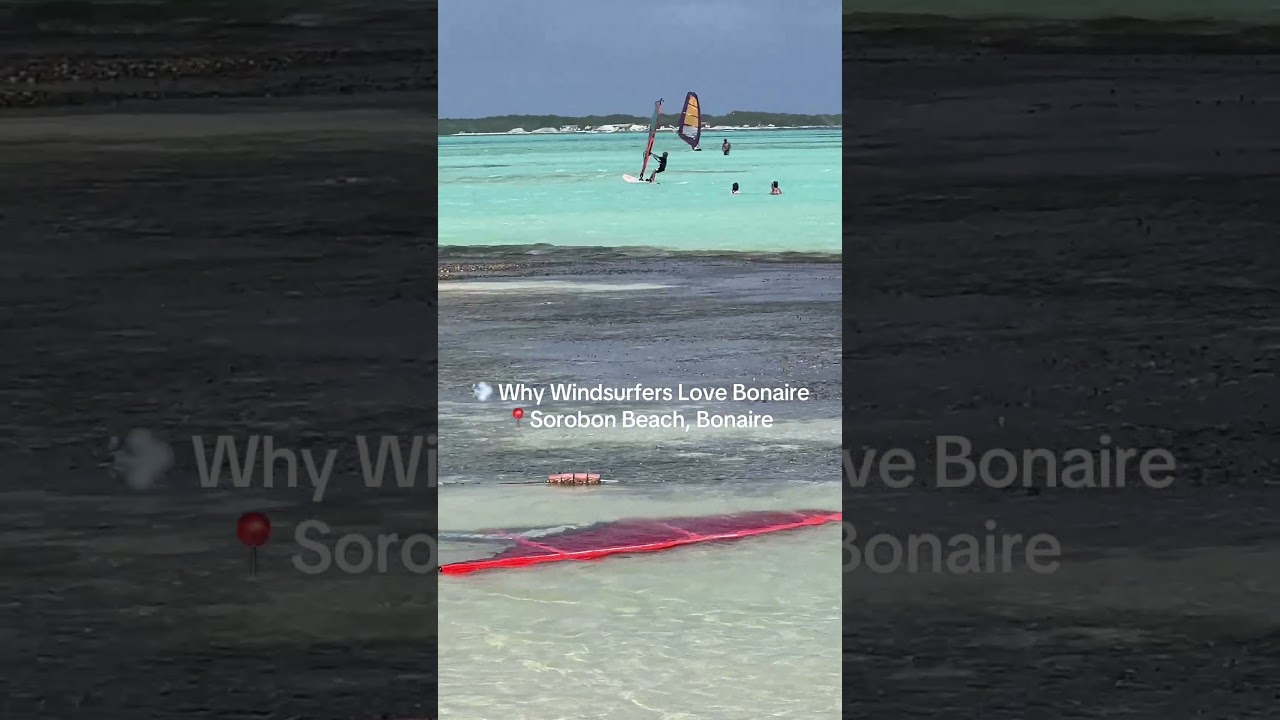 Windsurfing in Bonaire 💨🏄🏾‍♀️