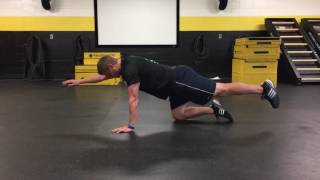 Bird-Dog/Quadruped Exercise