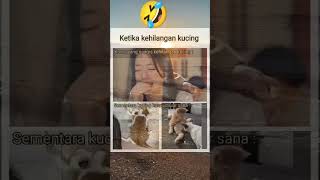 Download Lagu malah ngeW #shorts #cat #kucing MP3