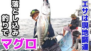 泳がせ釣りの進化形、落とし込み釣りで大爆釣！！！
