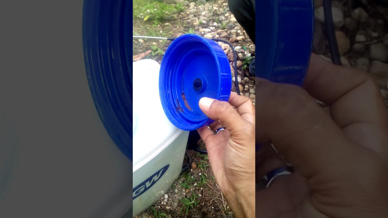 Demplot Eco Farming pada tanaman Kacang Koro