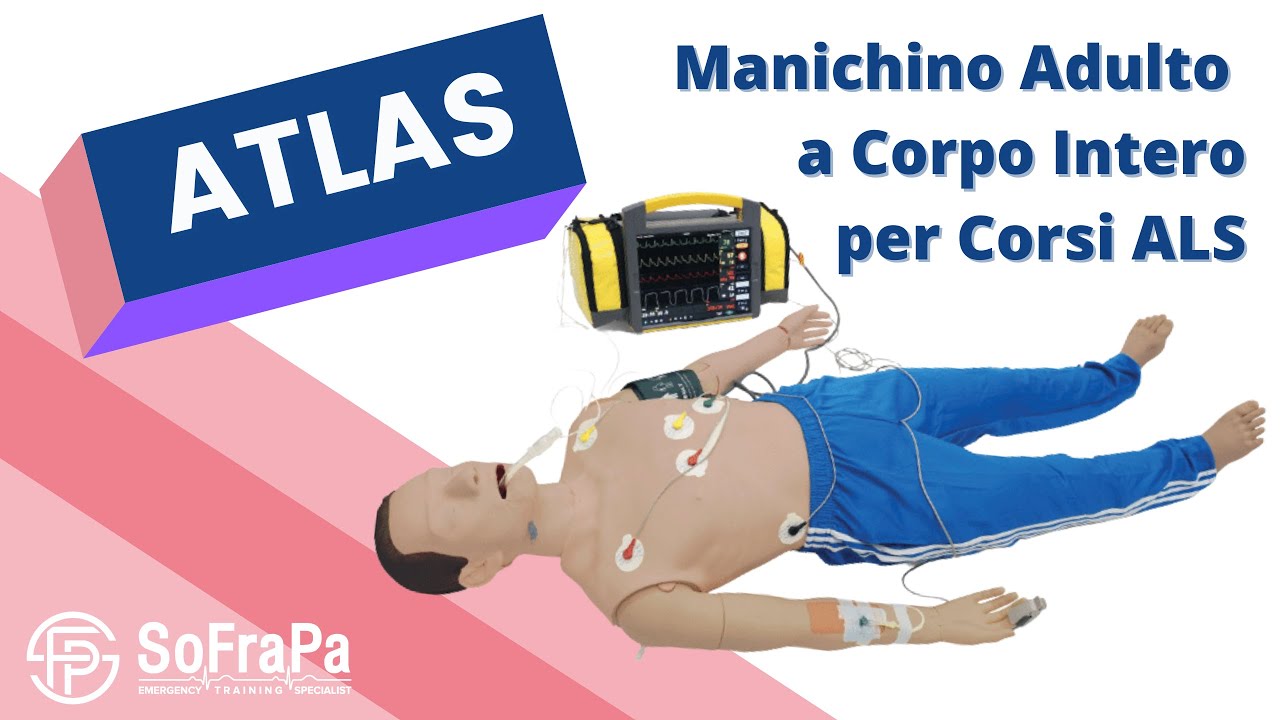Manichino RCP adulto - Prestan Professional con Feedback Monitor Manichino RCP adulto - Prestan Professional con Feedback Monitor