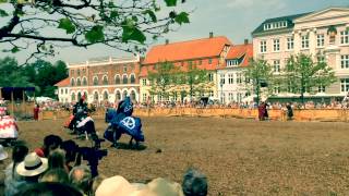 Danehofmarked i Nyborg 2015