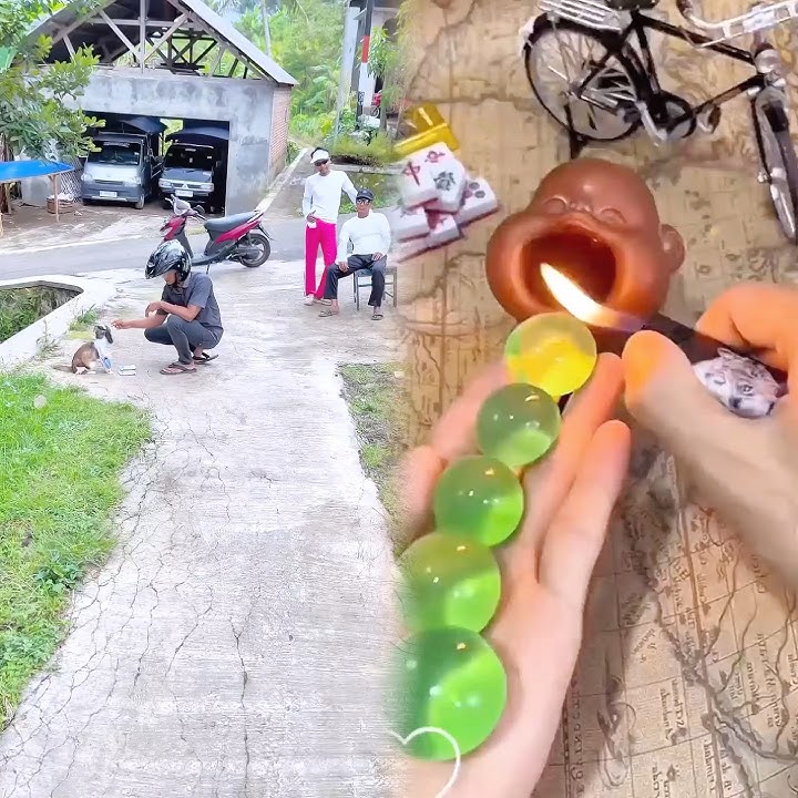 Zesika is still in touch with Uncle Cabe 🌶️ 😹 #cat #cat #youtubeshorts