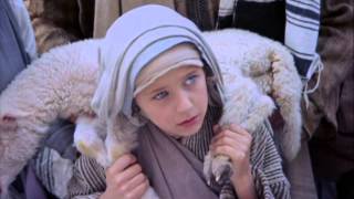 Boy Jesus lost in Temple