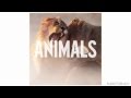 Maroon 5 Animals Audio