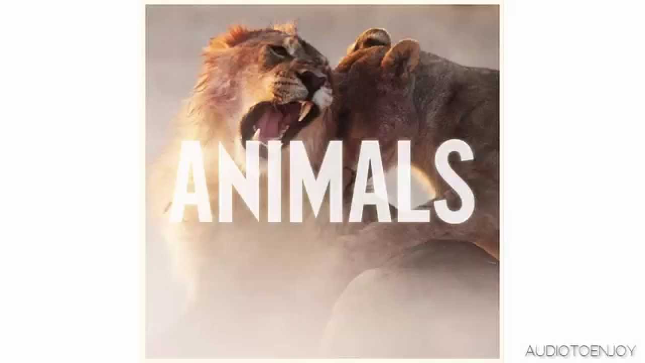 Maroon 5 Animals (Audio) YouTube