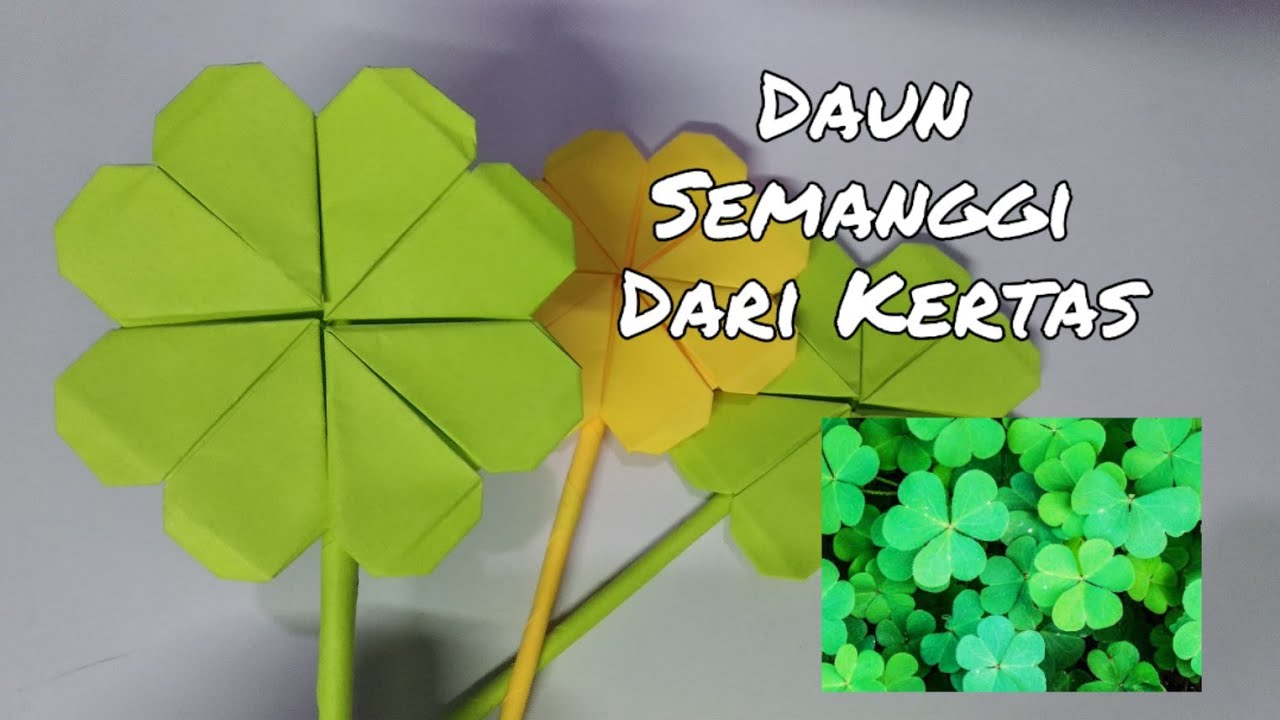  CARA  MEMBUAT  DAUN  SEMANGGI  Bunga  Paling Simple YouTube