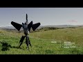 Introducing Pulsar Family of Electromagnetic Warfare Systems
